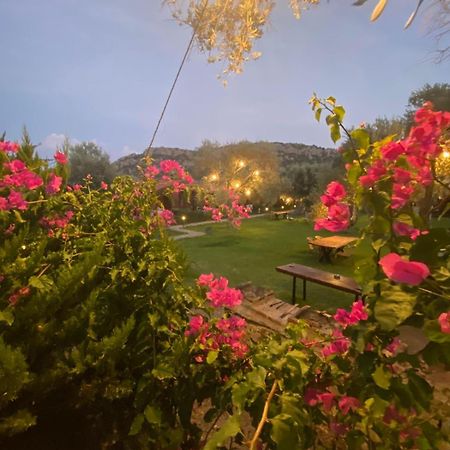 Suzi'Nin Bahcesi Bungalov Evler Datca Exterior foto
