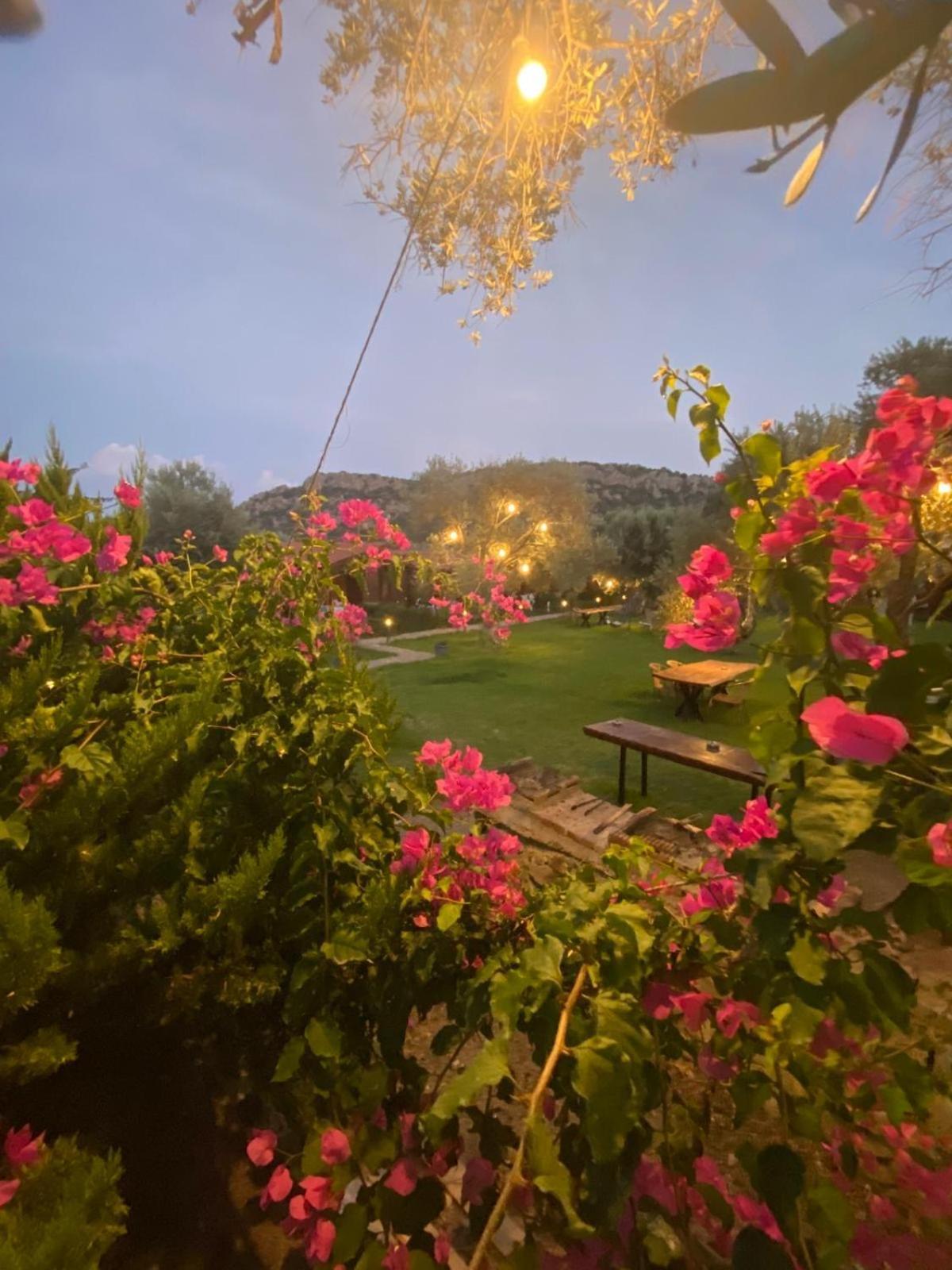 Suzi'Nin Bahcesi Bungalov Evler Datca Exterior foto