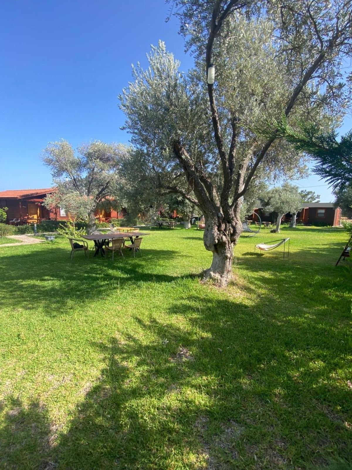 Suzi'Nin Bahcesi Bungalov Evler Datca Exterior foto