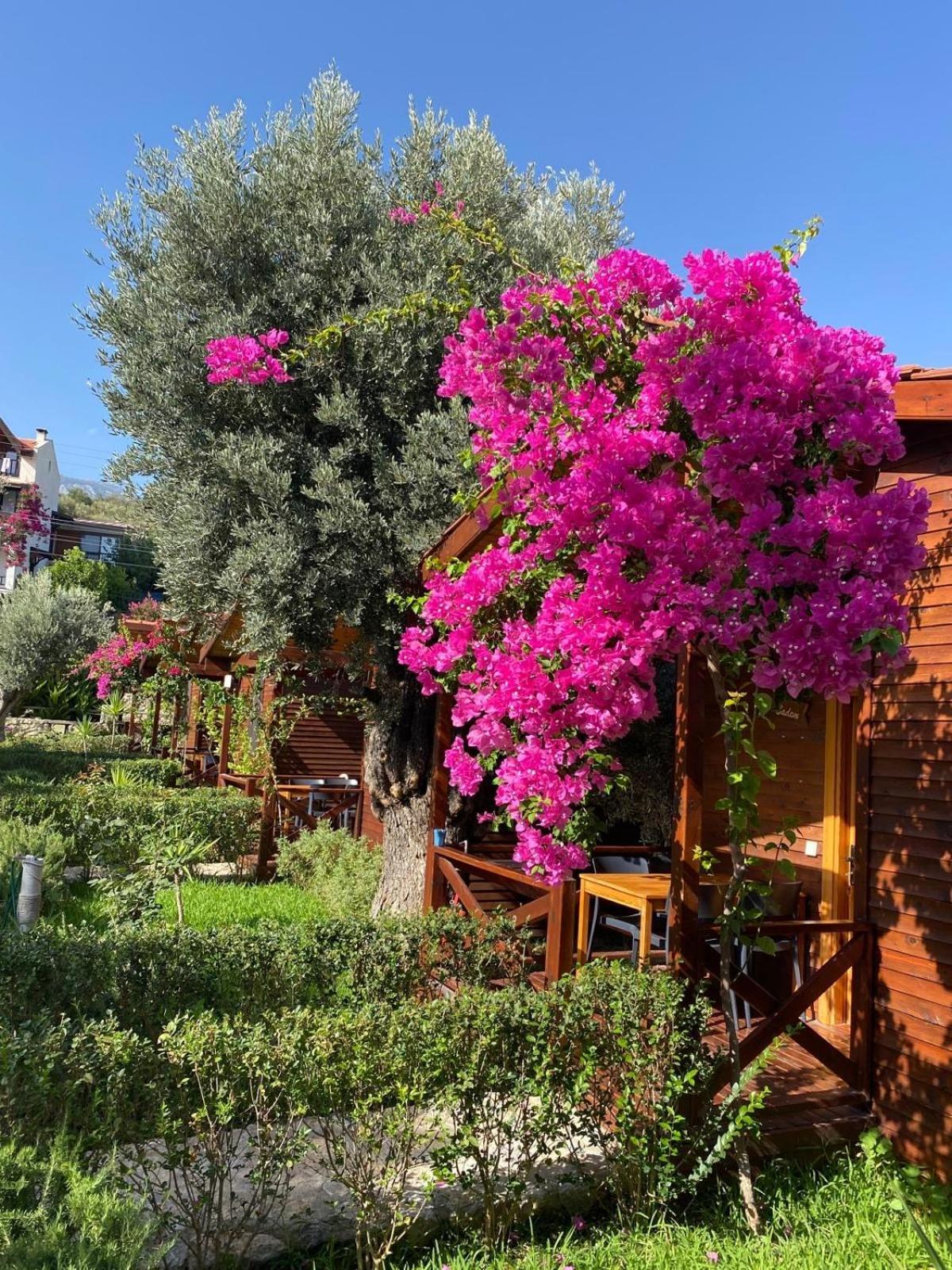Suzi'Nin Bahcesi Bungalov Evler Datca Exterior foto